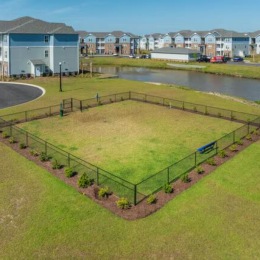 aerial view of dog park